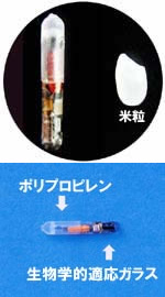 news01